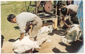 Animal Husbandry of Jammu and Kashmir